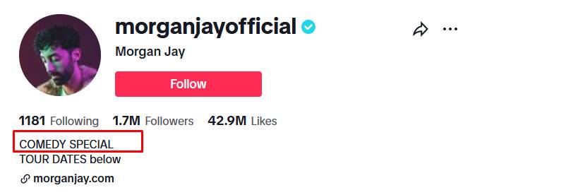 Use Strong Keywords in your TikTok bio
