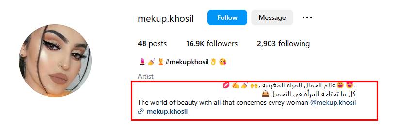 What is an Instagram bio?&nbsp;