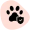 Pet Insurance
