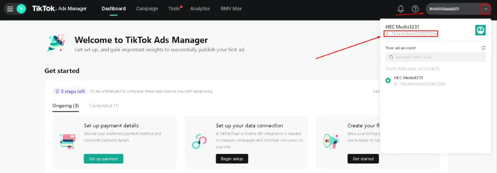 Your Ad Account ID