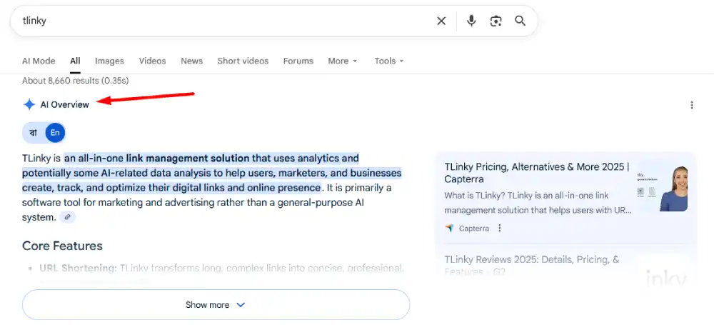 AI Overview