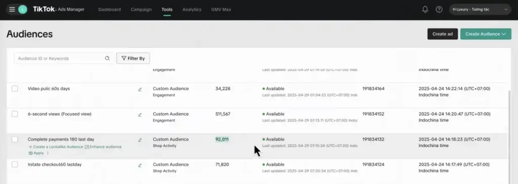 TikTok Custom Audience